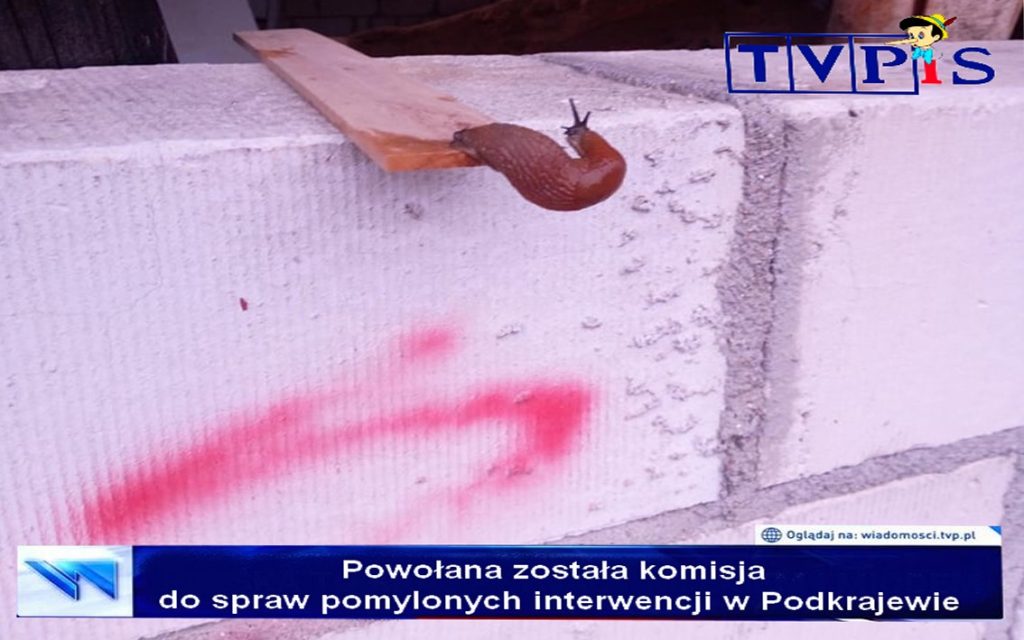 psychodelicznystolarz